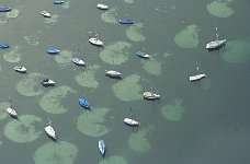 Anchored boats near Ermatingen