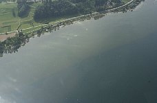 Shoreline near Salenstein