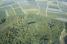 Zeppelin shadow on trees near Bodman