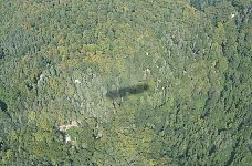 Zeppelin shadow over forest