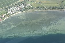 Shallow waters near Obermaurach