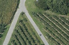 Cyclist near fork in road