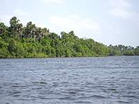 Barreirinhas from the river