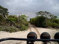 Sand tracks
