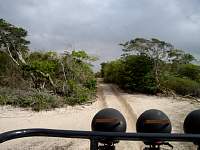 Sand tracks