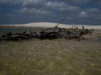 Lençóis Maranhenses