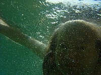 Ilhabela swimming