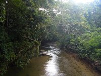 Ilhabela brook