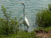 Ibirapuera Park