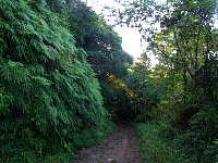 Bonete Beach trail