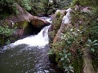 Horto Florestal waterfall