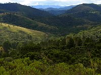 Horto Florestal panorama