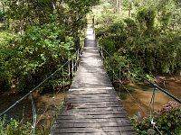 Horto Florestal bridge