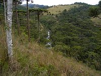 Horto Florestal river