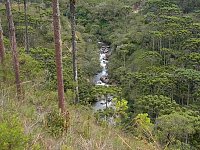 Horto Florestal river
