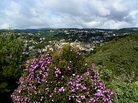 Morro do Elefante view