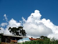 Zipline rider seen from below