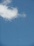 Zipline rider seen from below