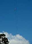 Zipline rider seen from below