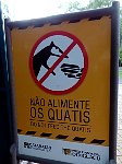 Do not feed the quatis.