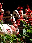 Flamingo and flowers
