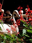 Flamingo and flowers