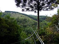 Parque da Cachoeira zipline