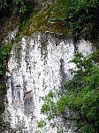 Climbing/rappel cliff with bees