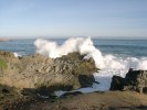 Pacific Coast in Monterey