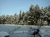 Algonquin Provincial Park View