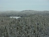 Algonquin Provincial Park View