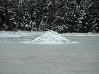 Algonquin Provincial Park Beaver Hide