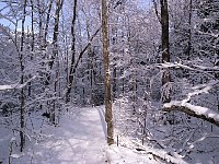 Algonquin Provincial Park Trail