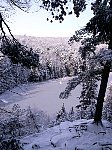 Algonquin Provincial Park View