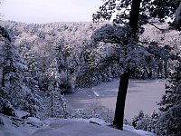 Algonquin Provincial Park View