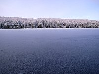 Algonquin Provincial Park View