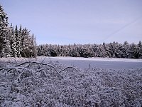 Algonquin Provincial Park View