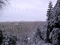 Algonquin Provincial Park View