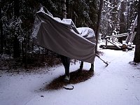 Algonquin Logging Museum Trail