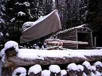 Algonquin Logging Museum Trail