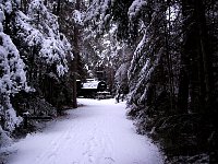 Algonquin Logging Museum Trail