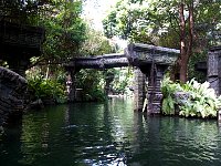 Jungle Cruise