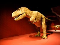 Tyrannosaurus Rex - not furry, not funny