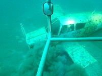 Underwater Piper obscured by dirt cloud