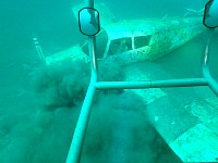 Underwater Piper obscured by dirt cloud