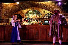 Medieval Banquet Performers