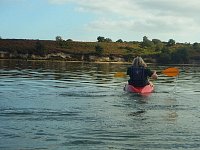 Kayaking near Arne Nature Reserve