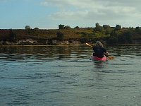 Kayaking near Arne Nature Reserve