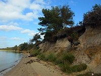 Kayaking near Arne Nature Reserve