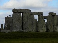 Stonehenge and bird